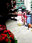IMG_20250911_160641